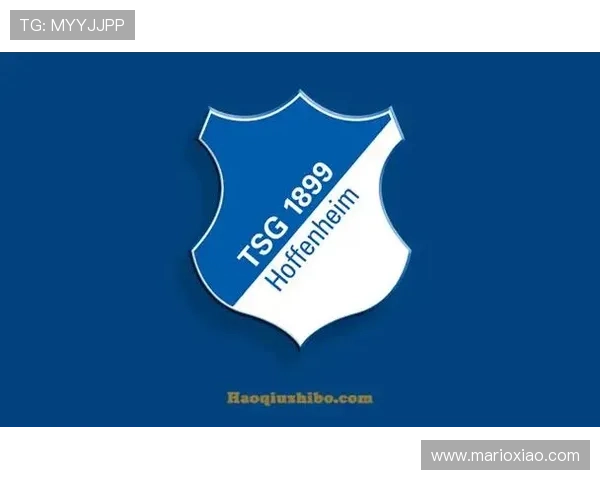 德甲新赛季新援名单公布，强援加盟提升整体竞争力