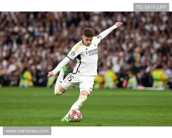 巴尔韦德世界杯表现稳健，精彩进球助力球队荣耀之路分析。