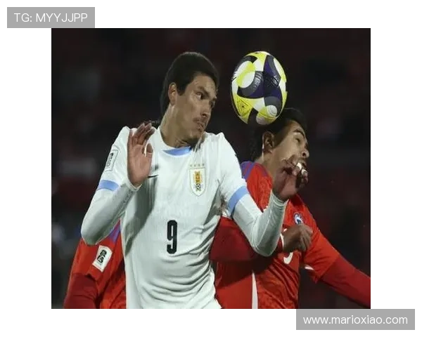 费内巴切转会策略