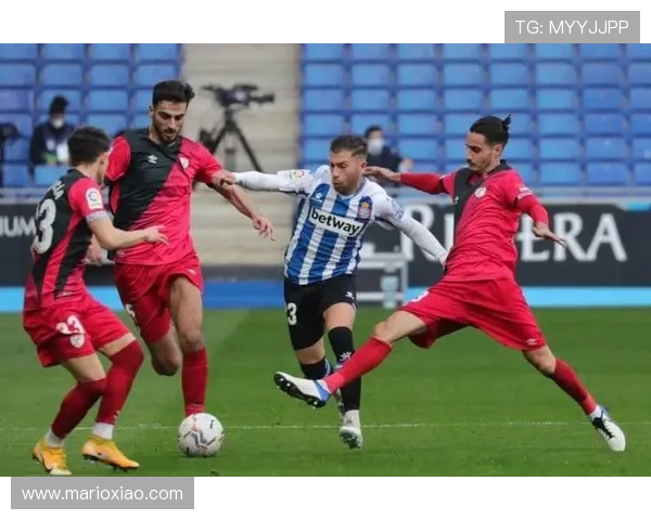 标准列日锋线表现