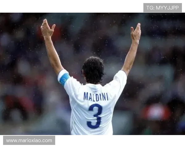 马尔蒂尼职业荣誉