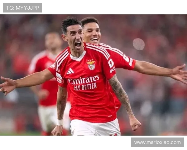 迪马利亚葡超冠军赛季核心表现解析 迪马利亚葡超冠军赛季核心表现解析